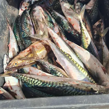Waterfront Boat Included, Near Bergen Сasa de vacaciones *
